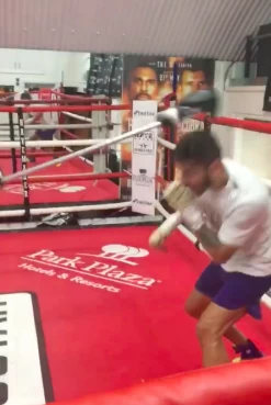 Sugar Ray’s Slip Stick Boxing Defence Tool -Champion Boxing Shop ScreenShot20170829at14.48.41