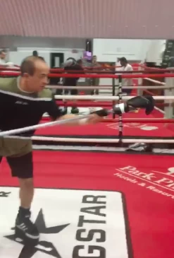 D-JAB Bob And Weave Boxing Defence Tool 13 D-JAB Bob And Weave Boxing Defence Tool -Champion Boxing Shop ScreenShot20170829at14.55.14