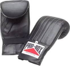Pro-Box Champion Pre-Shaped Punch Bag Mitts